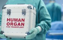 Orqan alverinə qarşı konvensiya ratifikasiya edildi