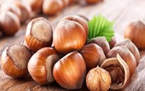 Azərbaycanın meşə fındığı ixracından gəlirləri 2 dəfə artıb