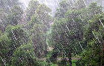 Bakıya həftədə bir dəfə 2 günlük leysan yağır - Nə baş verir?