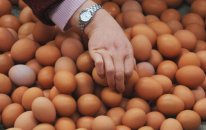 Azərbaycanda yumurta UCUZLAŞACAQ - TARİX