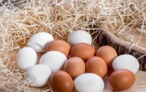 Azərbaycan yumurta ixracını bərpa etdi