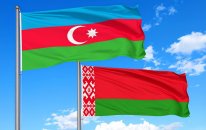 Azərbaycan və Belarus sürücülük vəsiqələrini qarşılıqlı tanıyacaq