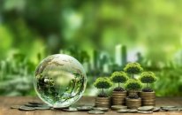 Banklar yaşıl kreditlər üzrə Mərkəzi Banka hesabat verəcək