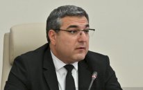 Ermənistan vətəndaşlığı alan Qarabağ ermənilərinin sayı bilindi