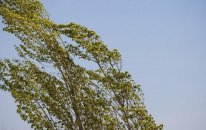 Bakıda küləkli hava nə vaxta kimi davam edəcək?