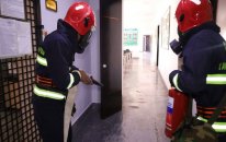FHN və DSX birgə təlim keçirib - VİDEO