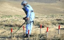 İyulda 8 min hektardan çox ərazi minalardan təmizlənib