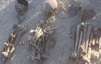 910 şəxsə aid insan qalıqları ekshumasiya olundu