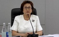 Məleykə Abbaszadə: Bu il cəmi 1393 plan yeri boş qalıb