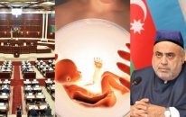 Süni mayalanmanın qanunla tənzimlənməsinə qarşı çıxacağıq - QMİ