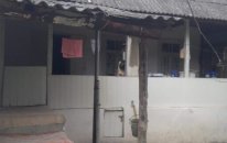 Qəhrəmanlar böyüdən ev uçmaq təhlükəsindədir – 89 yaşlı ana Prezidentə müraciət etdi