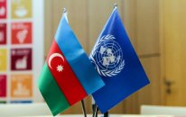 BMT nümayəndəsi: İtkinlərlə bağlı davamlı səylərin göstərilməsi vacibdir