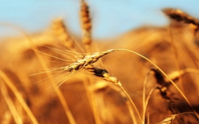 Yel çərşənbəsi qeyd edilir       