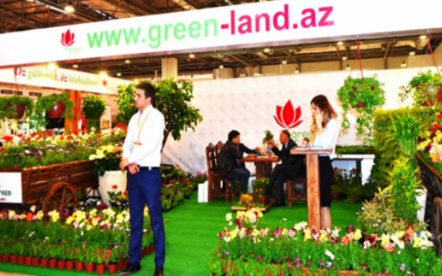 Bu şirkət öz məhsulları ilə hamını təəccübləndirəcək        