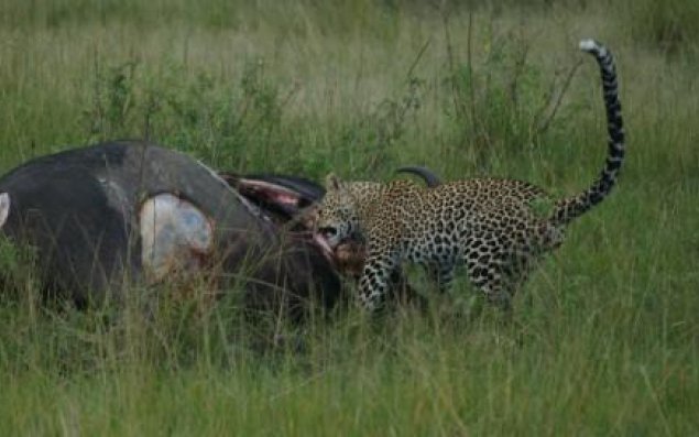 Son anda xilas oldu  VİDEO