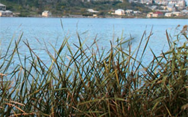 Abşeron yarımadasının ən çirkli gölləri  Adlar