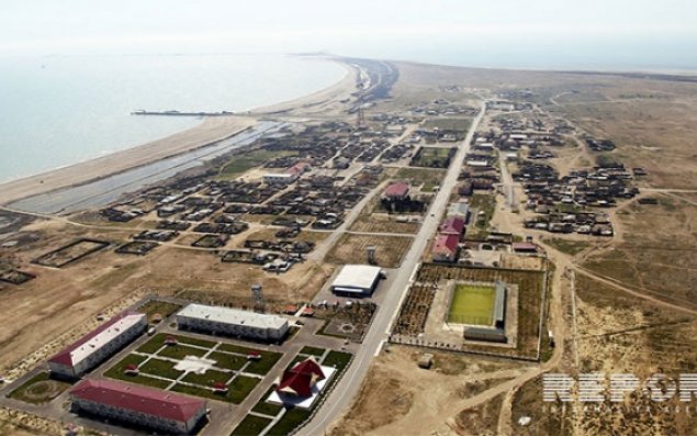 Bakıda ada həyatı   VİDEOREPORTAJ