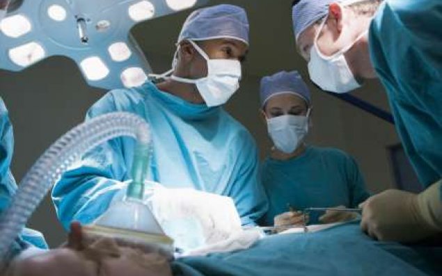 İspan alimlərinin kəşfi:  Bu heyvanın orqanı insana nəql ediləcək