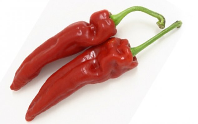 Acı yemək insanın ömrünü uzadır