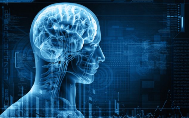 Kişi beyni qadın beynindən nə ilə fərqlənir