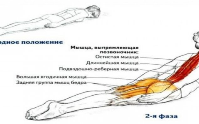 Düz qamət arzulayanlar üçün —   ÜSULLAR