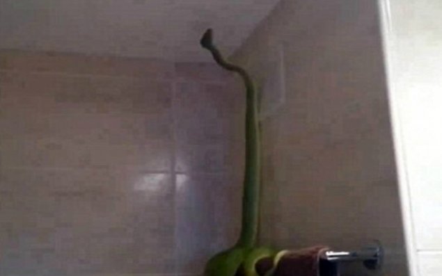 Vanna otağına girəndə şoka düşdülər   - VİDEO - FOTO