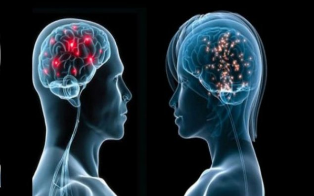 Baş-beyində digər insanları qiymətləndirən sistem aşkarlandı