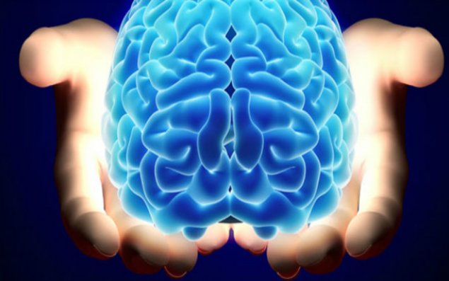 Beyində sirli sistem var