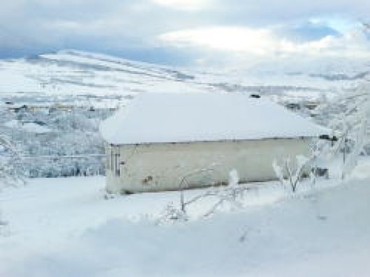 Azərbaycanın şimalında 59 sm qar yağdı   — FOTO