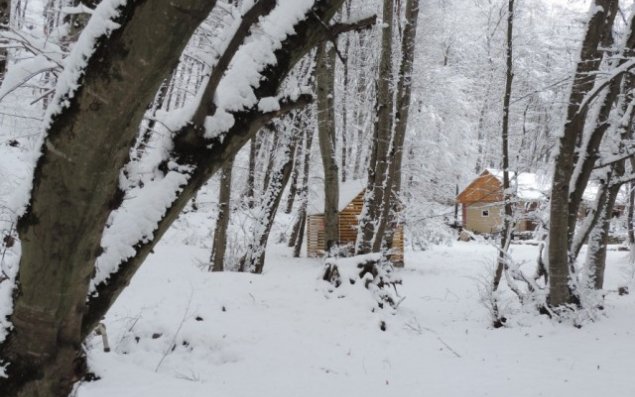 Qubanın qış mənzərəsi   - FOTOLAR
