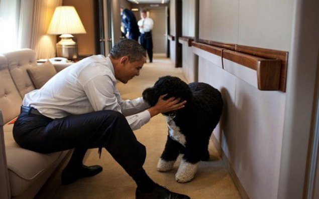 Obamanın itini oğurlamaq istədilər