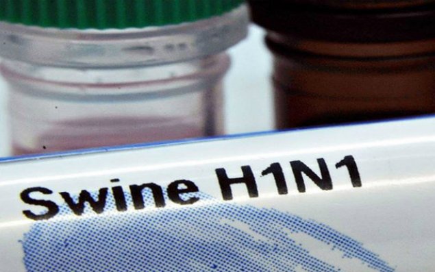 Məktəb və bağçalar 