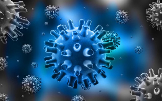 Zika virusu Azərbaycana yaxınlaşır