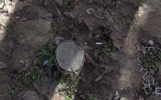 İcra başçısının adı 500 minlik qalmaqalda   — FOTO + VİDEO