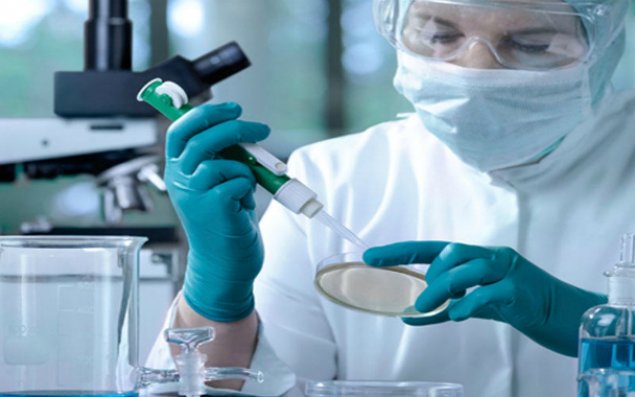 Yaz gəldi, xəstəlik də gəldi?