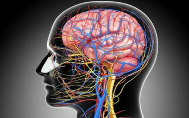 Beyin təhlükədədir!   - Bu simptomlara laqeyd yanaşmayın