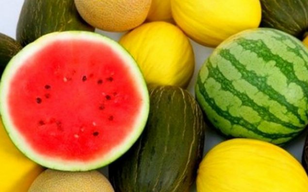 Satışdakı qarpız-yemiş təhlükəlidir?   - Açıqlama