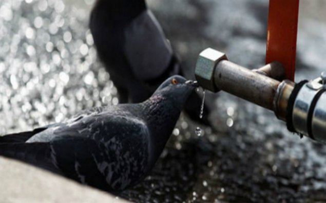 Sabah 42 dərəcə isti olacaq