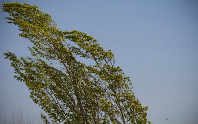 Bakıda küləkli hava nə qədər davam edəcək?   - AÇIQLAMA