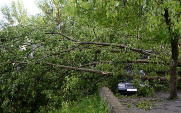 Daşkəsəndə güclü qasırğa rayonu işıqsız qoydu