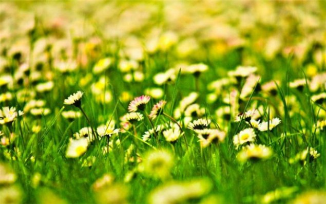 Sabaha olan hava proqnozu