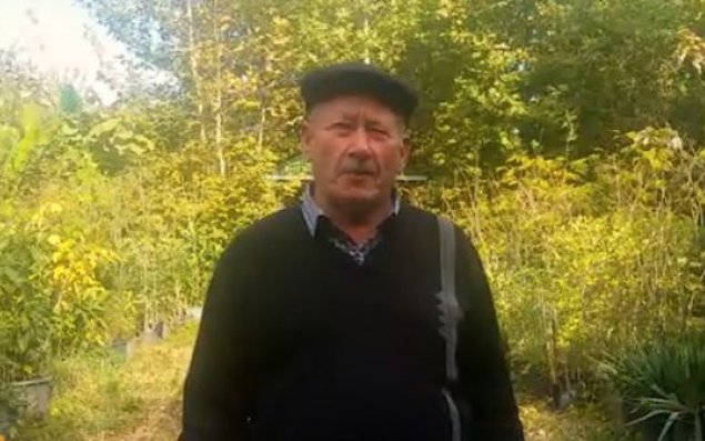 Azərbaycanlı iyirmi sot sahədə milyonlarla bitki yetişdirdi – VİDEO