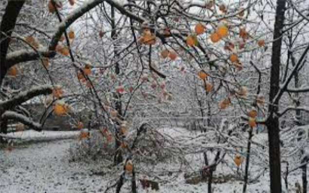 Azərbaycanda hava şəraitinə müdaxilə sistemi yaradıla bilər