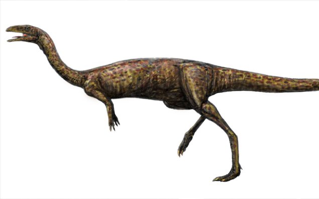 Paleontoloqlardan yeni iddia — Bəzi dinozavrların dişləri tökülürmüş