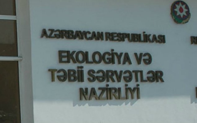 Nazirlikdən balıq AÇIQLAMASI