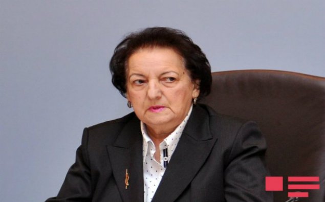 Elmira Süleymanova Milli Məclisə illik hesabat verdi