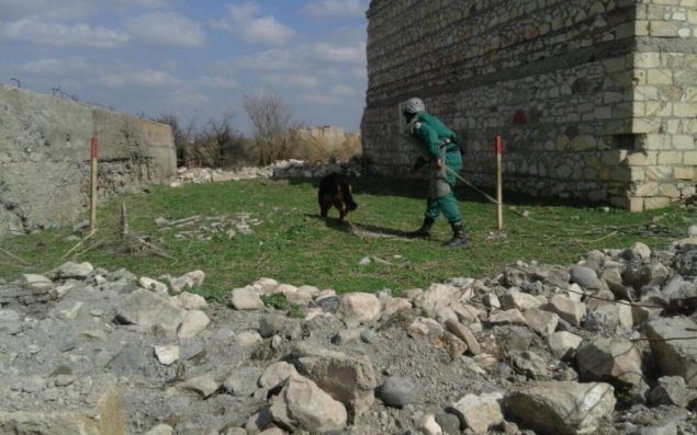 Cocuq Mərcanlıda 2 mina tapıldı