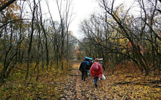 Meşələrin icarə müddəti artırıldı - 49 il