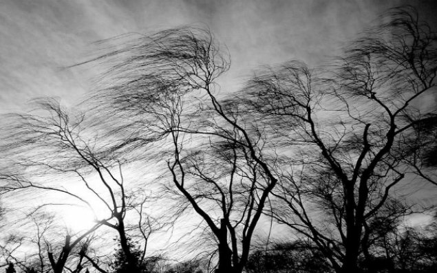 Bakıda güclü külək əsəcək – XƏBƏRDARLIQ