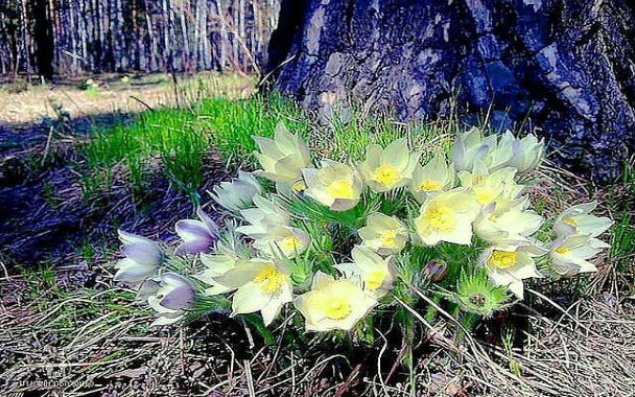 Sabaha olan hava proqnozu açıqlanıb